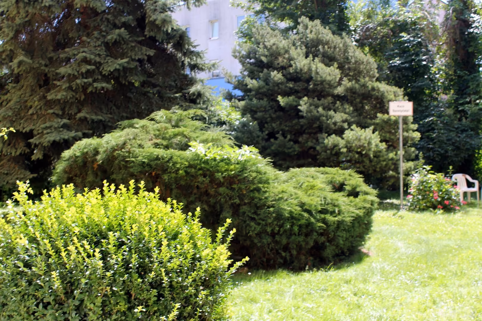 Allgemeingarten